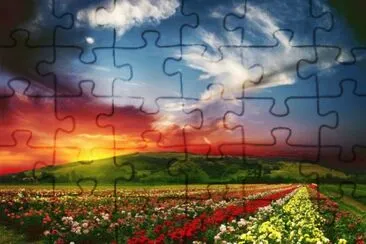 Flowerfields in the evening jigsaw puzzle