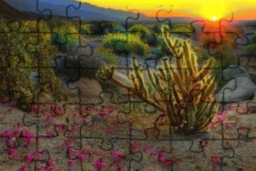 Desert at Dusk
