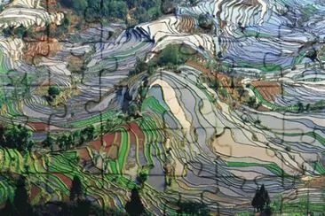 TerraÃ§os de arroz em Yunnan, China jigsaw puzzle
