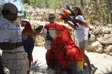 GUACAMAYAS EN XCARTEH jigsaw puzzle