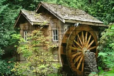 Old Forest Mill