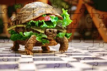 Turtle Burger