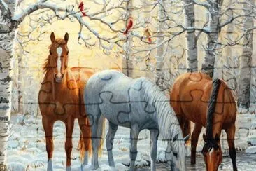 Horses
