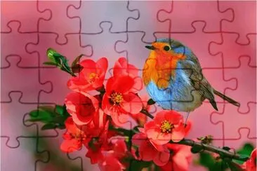 Bird jigsaw puzzle