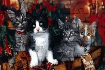 Christmas Kittens