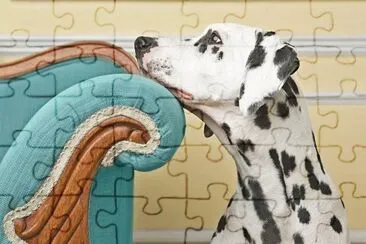 el sofÃ¡ y el perro jigsaw puzzle