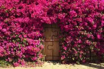 Entrance between a Flowerwall