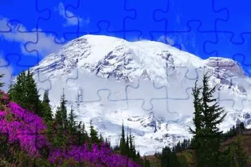 Mount Rainier Nat. Park  Washington  USA
