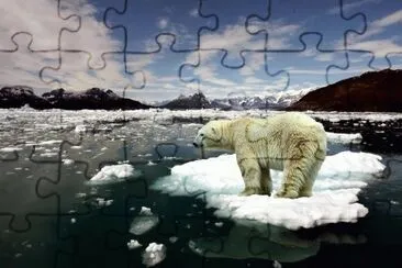 Polar Bear  Artic Circle