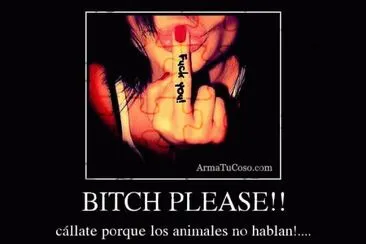 amor