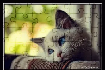 פאזל של amor
