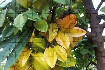Carambolas jigsaw puzzle