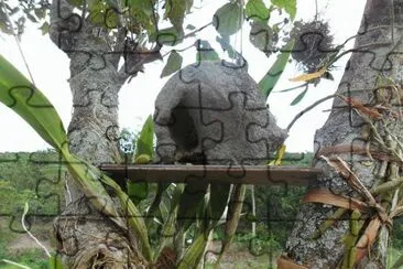 Casa do joão de  barro