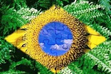 Brasil ! jigsaw puzzle