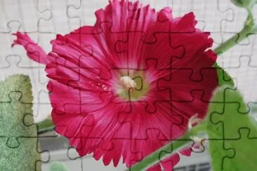 èŠ± jigsaw puzzle