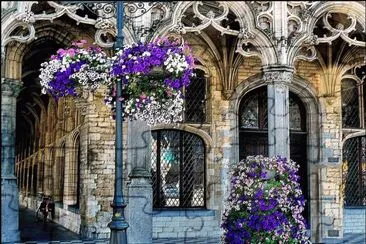 City Hall Street  Belgium jigsaw puzzle