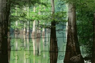 פאזל של White River, Arkansas