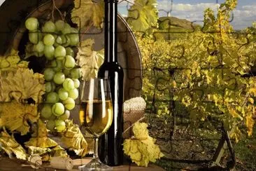 White wine jigsaw puzzle