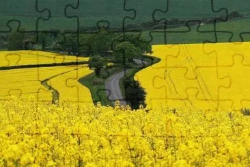 (305) jigsaw puzzle