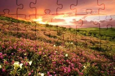 por-do-sol