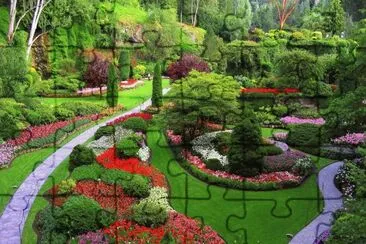 Beautiful Garden