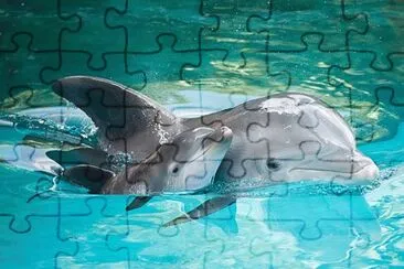 81 jigsaw puzzle