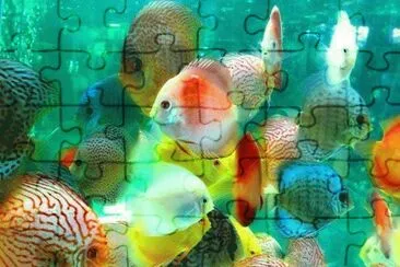 BELLEZA BAJO EL AGUA jigsaw puzzle