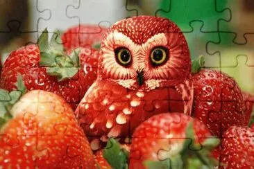 fresas jigsaw puzzle