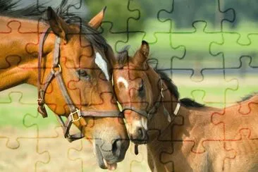 mom #125 jigsaw puzzle