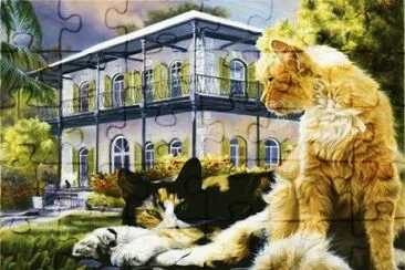 image jigsaw puzzle