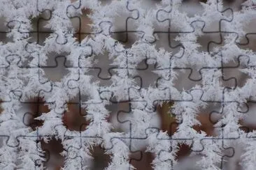 Hoar frost crystals on fence
