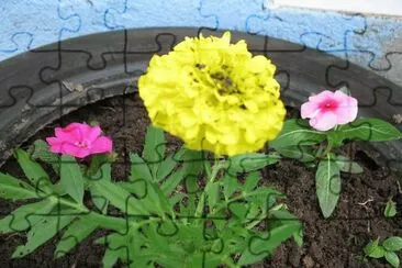 Flor jigsaw puzzle