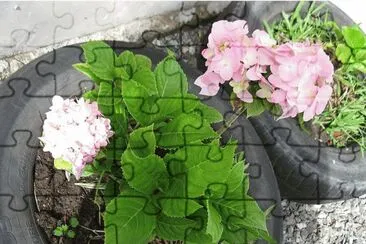 JARDIM jigsaw puzzle