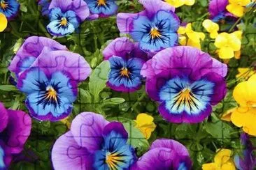 MOSAICO DE COLORES jigsaw puzzle