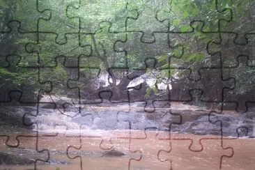 פאזל של Faz Potreiro 04