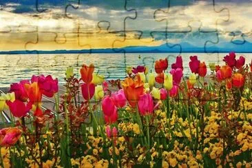 TULIPANES HOLANDESES