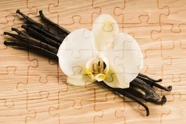 VAINILLA DE PAPANTLA jigsaw puzzle