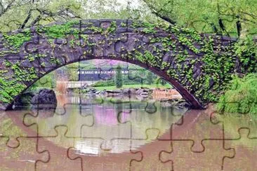 Central Park 2 jigsaw puzzle