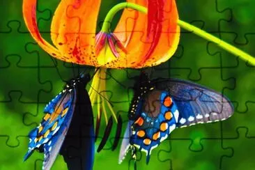 mis alas jigsaw puzzle