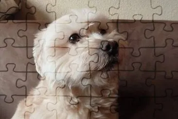 Our Koula jigsaw puzzle