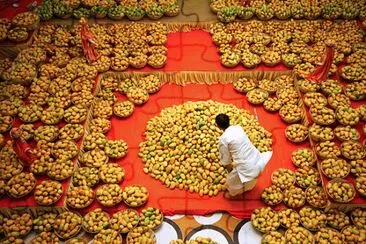 פאזל של Mango Festival  India