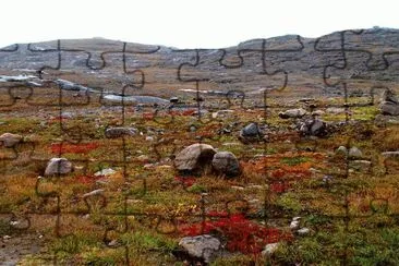 Nuvavut  toendra  Artic Canada