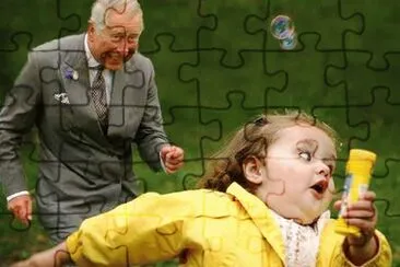curious jigsaw puzzle