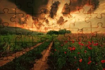 Land of Poppies jigsaw puzzle