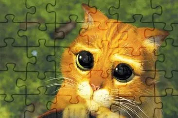 gatito