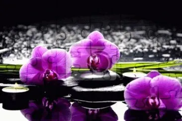 Orchids Reflecting in Zen Pond jigsaw puzzle