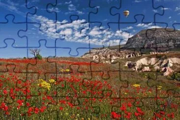 Flowerfull scenery jigsaw puzzle