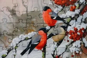 winter
