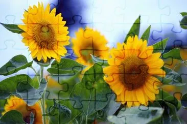 glory jigsaw puzzle