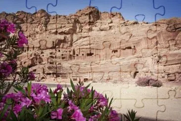 Petra Theater  Jordan jigsaw puzzle
